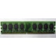 Модуль оперативной памяти 4096Mb DDR2 Patriot PSD24G8002 pc-6400 (800MHz)  (Сыктывкар)