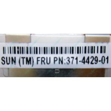 Серверная память SUN (FRU PN 371-4429-01) 4096Mb (4Gb) DDR3 ECC в Сыктывкаре, память для сервера SUN FRU P/N 371-4429-01 (Сыктывкар)
