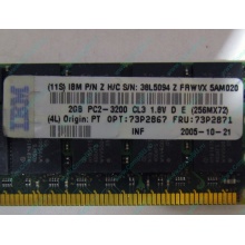 IBM 73P2871 73P2867 2Gb (2048Mb) DDR2 ECC Reg memory (Сыктывкар)