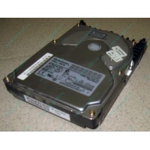 Жесткий диск 18.4Gb Quantum Atlas 10K III U160 SCSI (Сыктывкар)