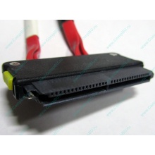 SATA-кабель для корзины HDD HP 451782-001 459190-001 для HP ML310 G5 (Сыктывкар)
