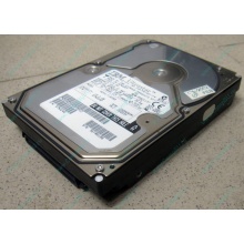 Жесткий диск 18.2Gb IBM Ultrastar DDYS-T18350 Ultra3 SCSI (Сыктывкар)