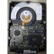 Жесткий диск 18.2Gb IBM Ultrastar DDYS-T18350 Ultra3 SCSI (Сыктывкар)