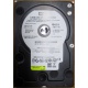 Б/У жёсткий диск 400Gb WD WD4000YR Caviar RE2 7200 rpm SATA  (Сыктывкар)