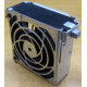 Кулер HP 224977 (224978-001) - Сыктывкар