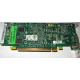 Видеокарта Dell ATI-102-B17002(B) зелёная 256Mb ATI HD2400 PCI-E (Сыктывкар)