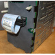HP 365664-001 кабель SCSI для корзины 373108-001 / 359719-001 HP ML370G4 (Сыктывкар)