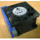 Вентилятор TFB0612GHE для корпусов Intel SR2300 / SR2400 (Сыктывкар)