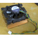 Intel D34088-001 s603 / s604 (Сыктывкар)