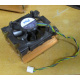 Intel C24751-002 (Сыктывкар)