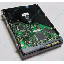 Жесткий диск 80Gb HP 5188-1894 9W2812-630 345713-005 Seagate ST380013AS SATA (Сыктывкар)